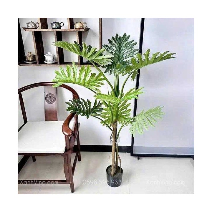 Cây Trầu Bà Giả Thân Cổ Đẹp Giống Thật – Giải Pháp Trang Trí Xanh